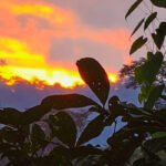 IETABA proclamó a su XVI Promoción de Bachilleres Técnicos Agroambientales Bilingües